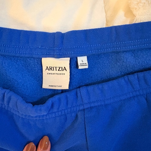 SOLD Aritzia jazz blue shorts - Picture 3 of 3